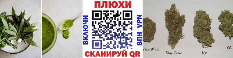 Canna-Cookies марихуана  Купить  Курган 