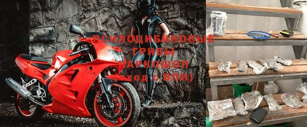 mdpv Снежинск