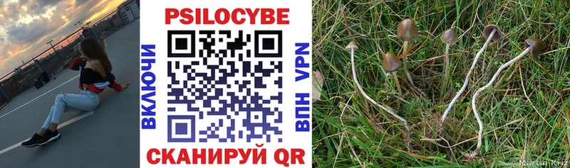 Галлюциногенные грибы Psilocybe  Купить где  Курган 